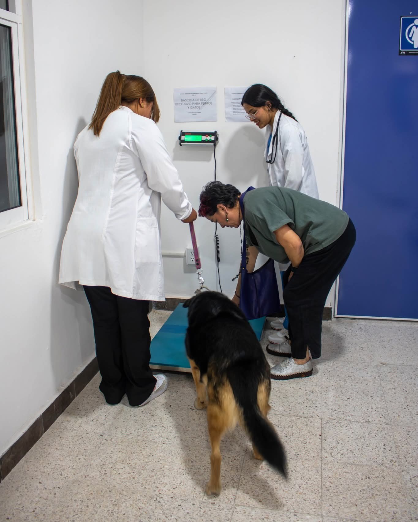 Vacunación