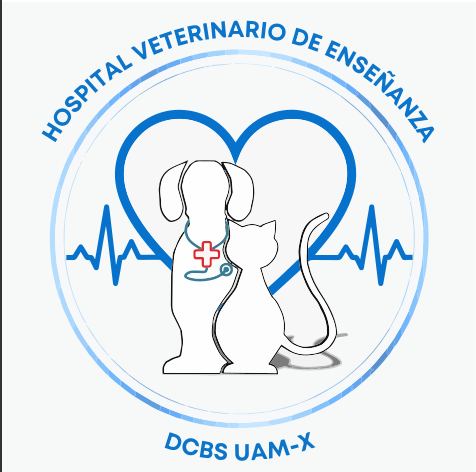 Logo Derecho